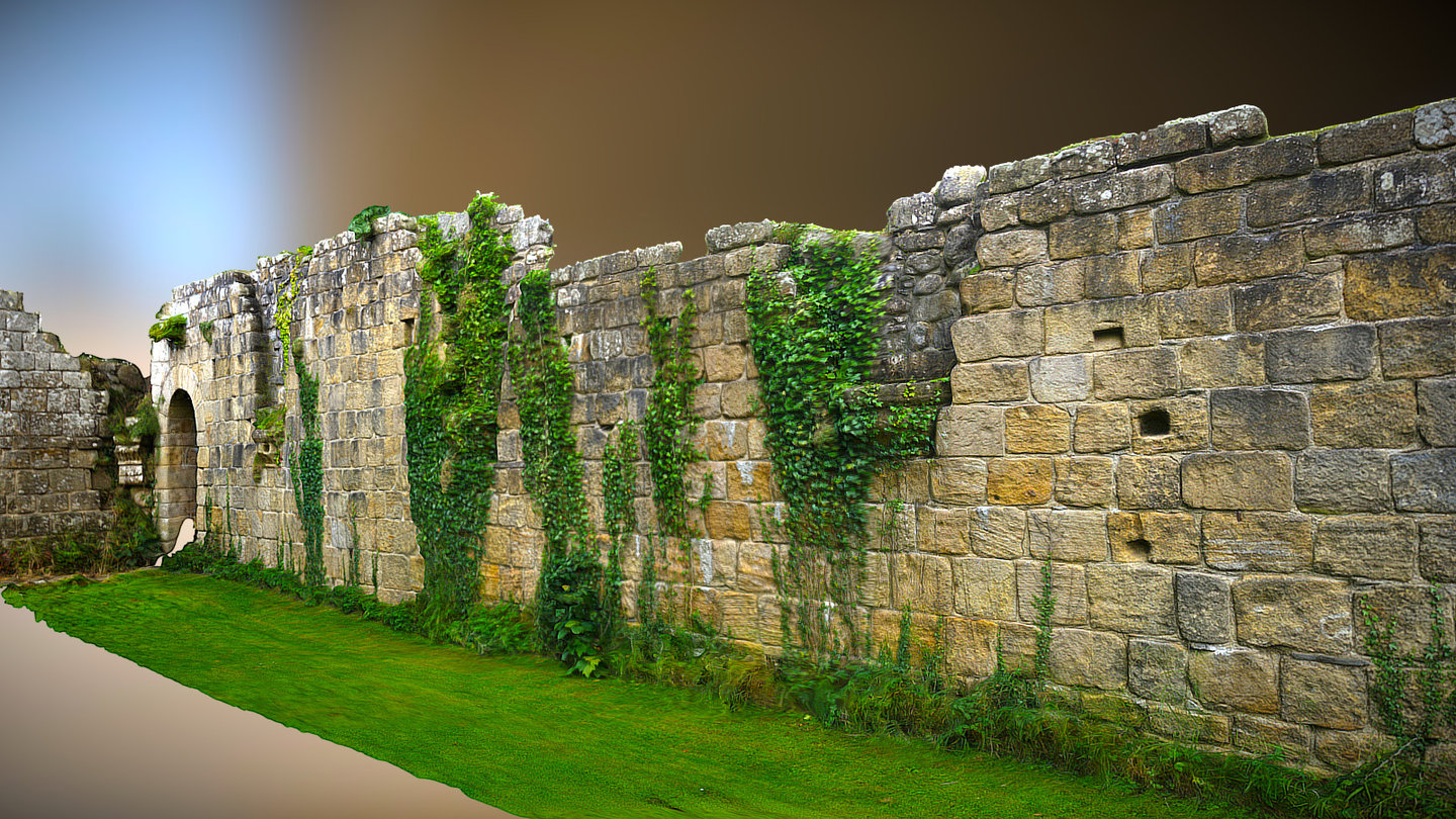 Jervaulx - Ivy Wall