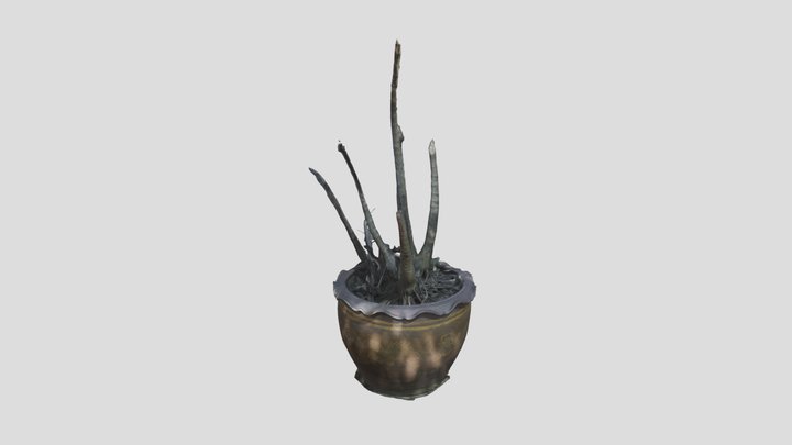 3D SCAN : Dragon Jar with Plants