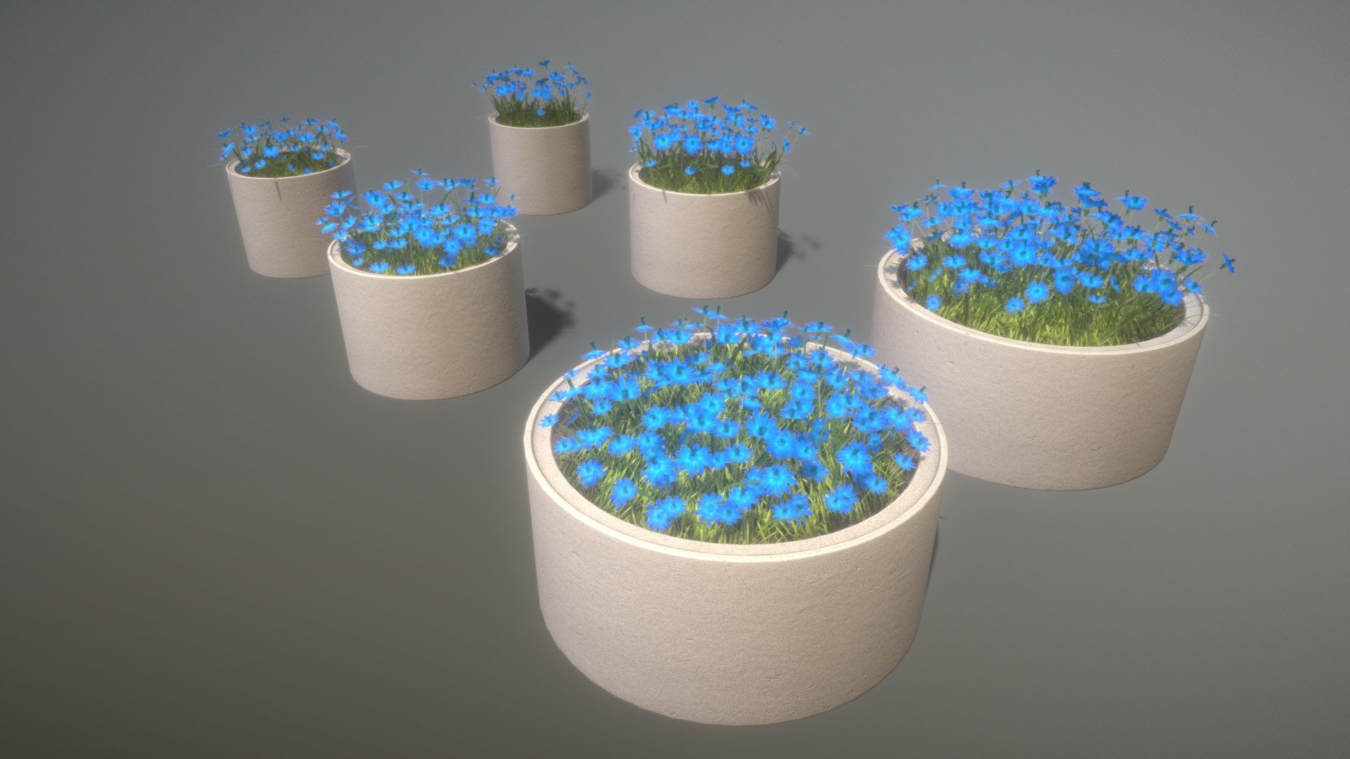 Concrete Pipe Pots With Blue Flowers