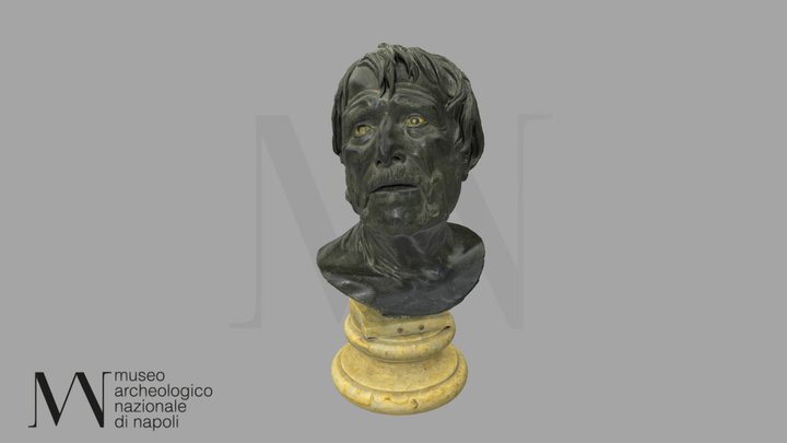 Busto virile (cd. Pseudo-Seneca) Inv. 5616 3D Model