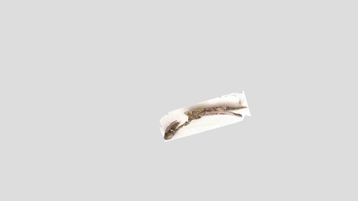 Mon magnifique Reconstruction 3D 3D Model