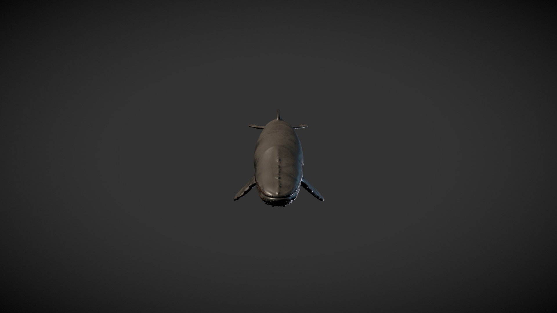 Whale