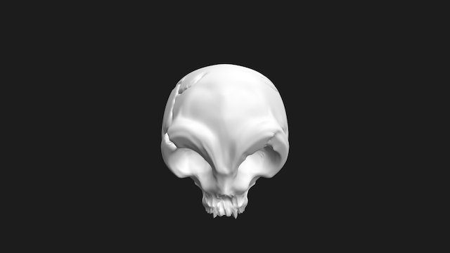 Skull Scratched 3D Model