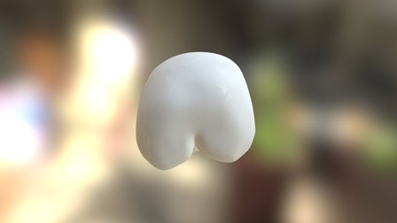 Upper Left First Molar 3D Model