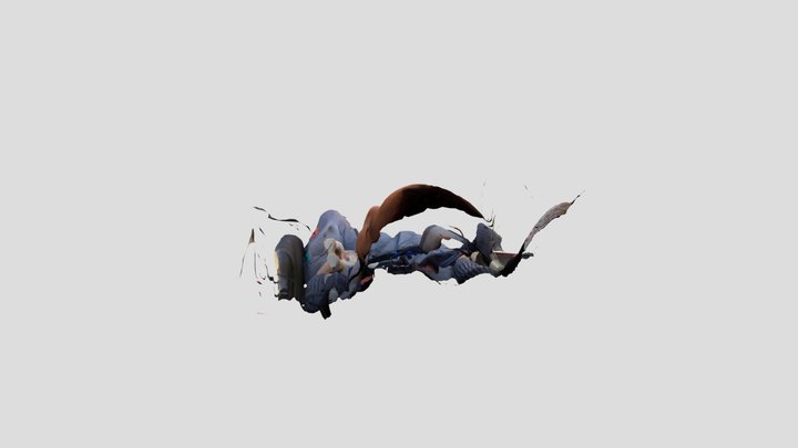 Polycam capture 3D Model