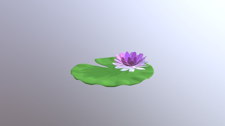 Water Lily 3D Model