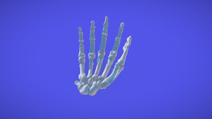 HOMO NALEDI HAND-3D PRINTING.