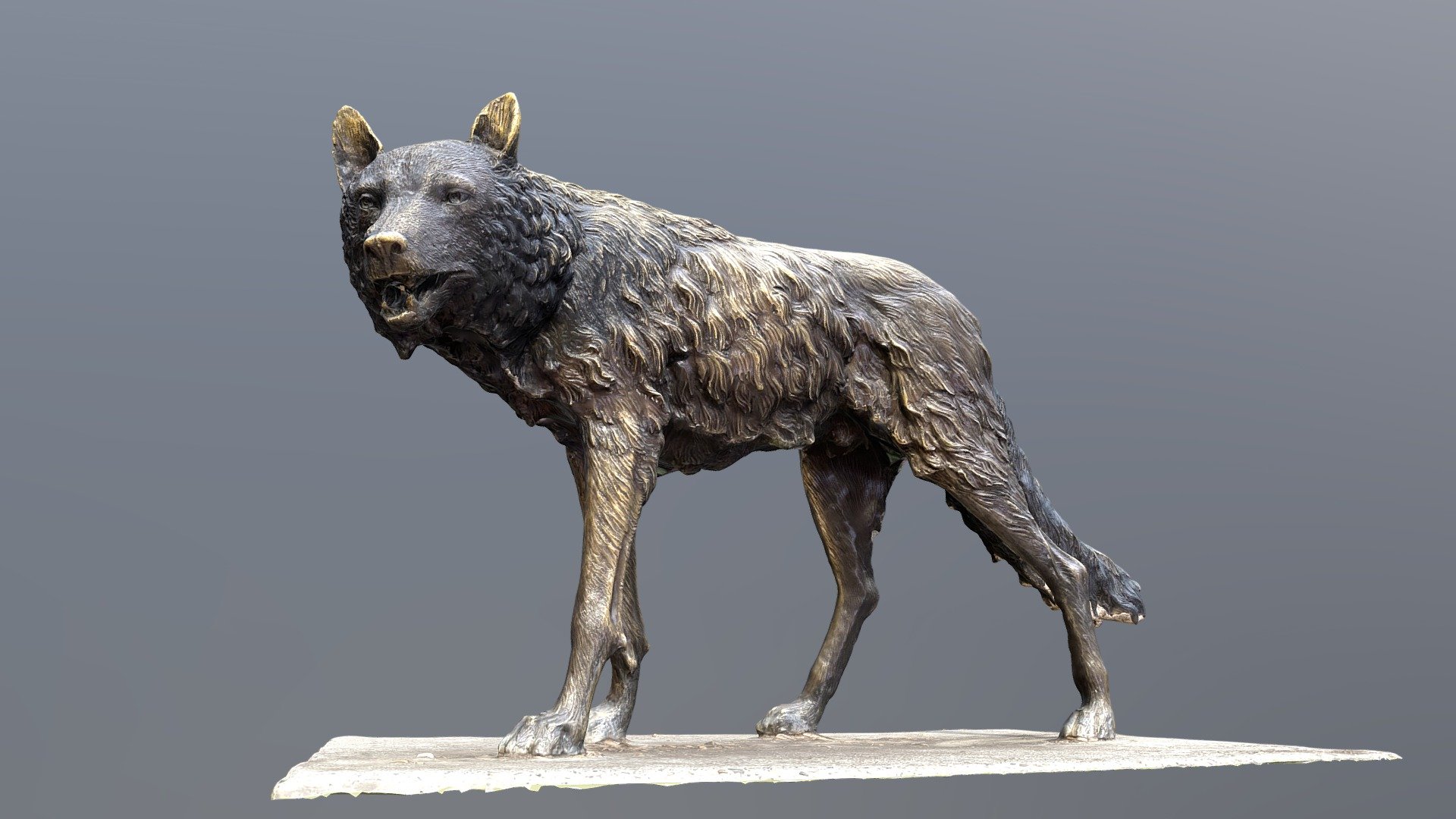 Bronze Wolf Statue Buy Royalty Free 3D model by MADD Designs