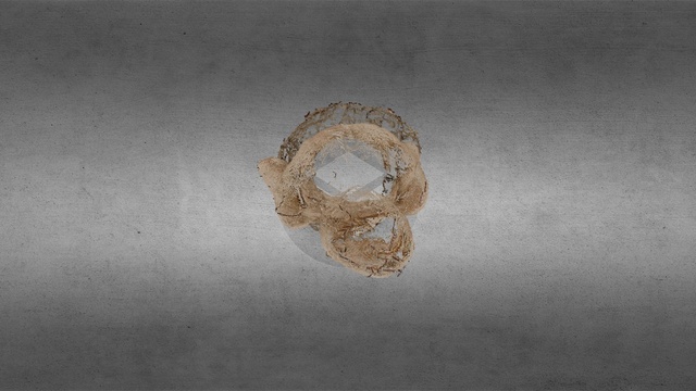 Xc 0 3D Model