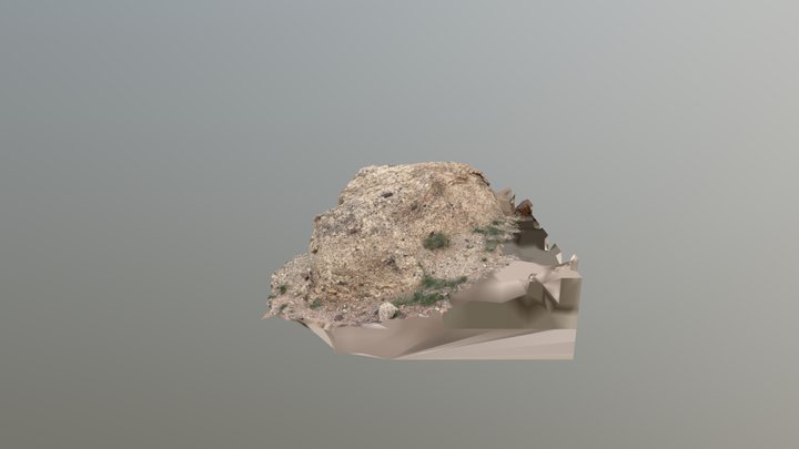 Desert Rock Scan 3D Model