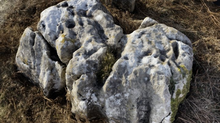 Birkrigg Stone 2 – Modèle 3D gratuit STL