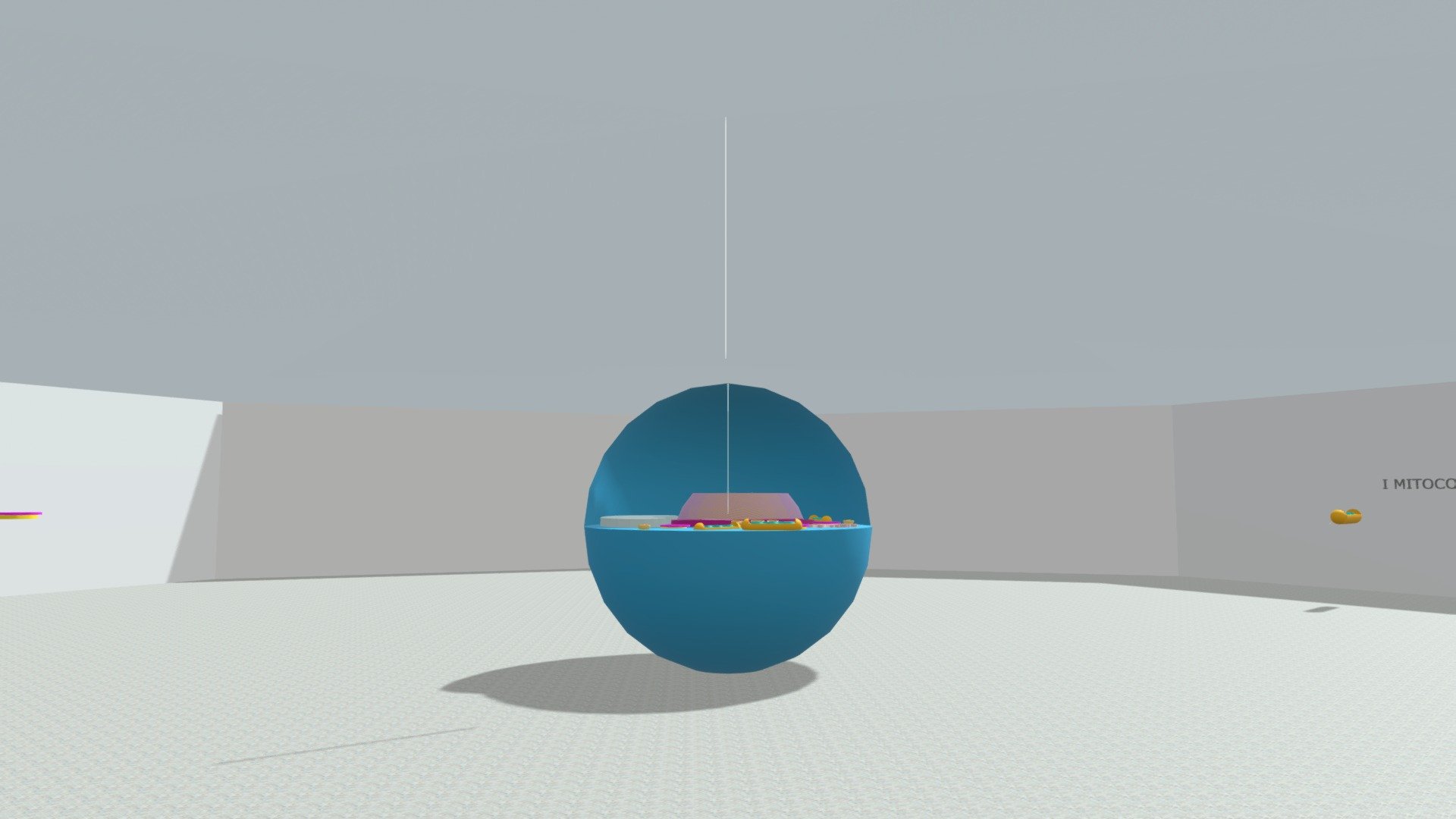 CELL MUSEUM - Download Free 3D model by giuliaubertis [af05bed] - Sketchfab