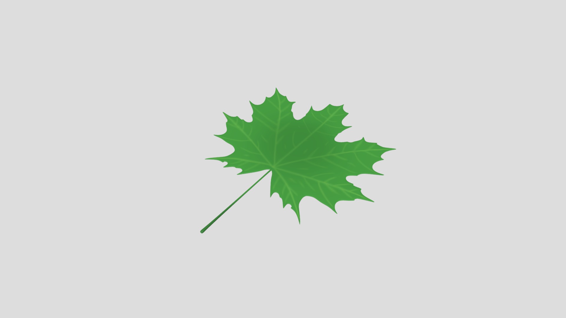 3D model Maple Leaf - This is a 3D model of the Maple Leaf. The 3D model is about a green leaf on a white background.