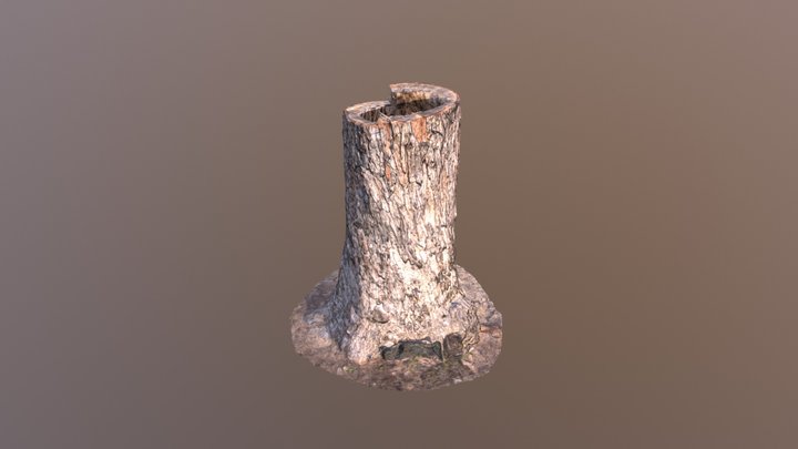 Gnome Tree Stump House 3D Model