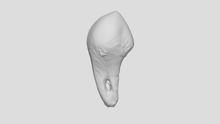 Exp. 25 Perforated 3D Model