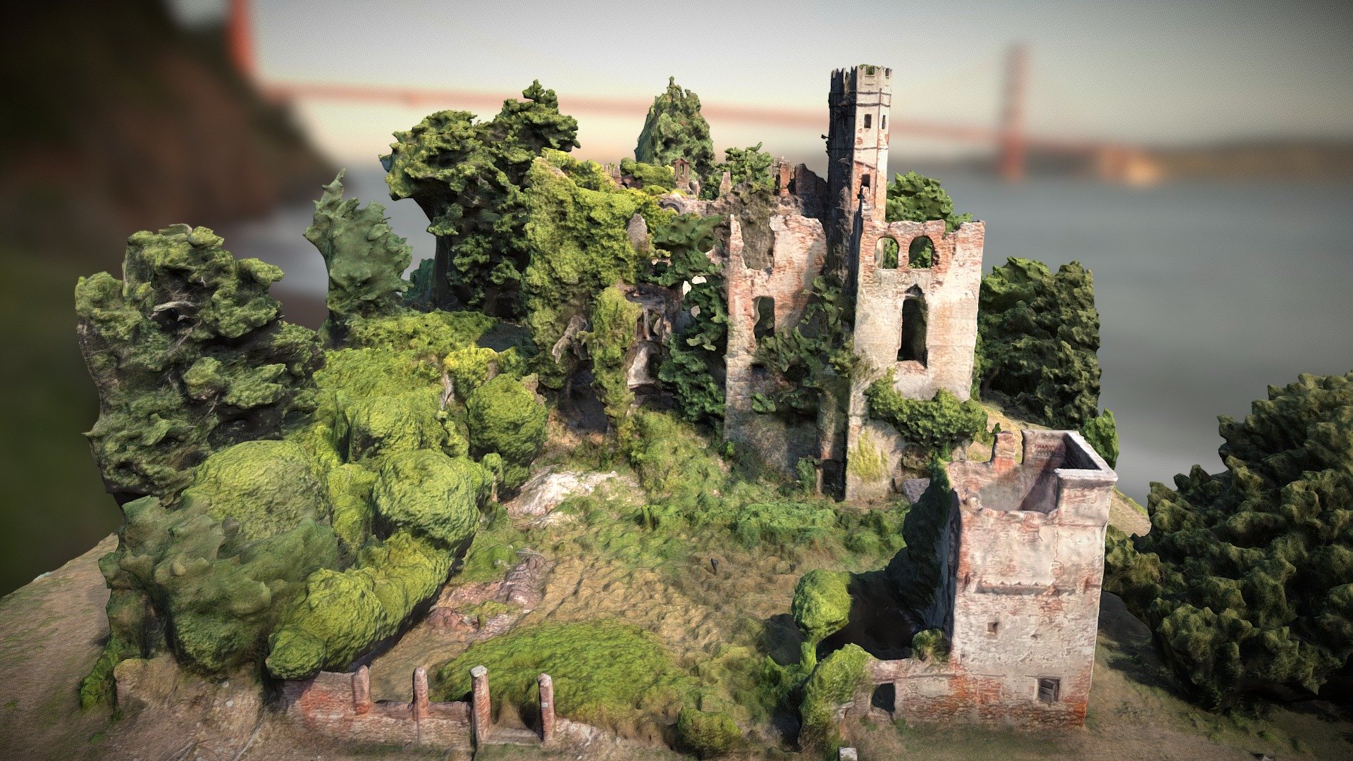 Cerrione's Castle