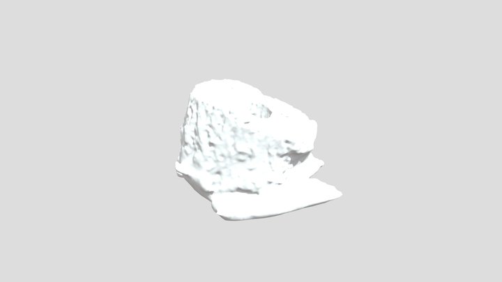 tree snag 3D Model