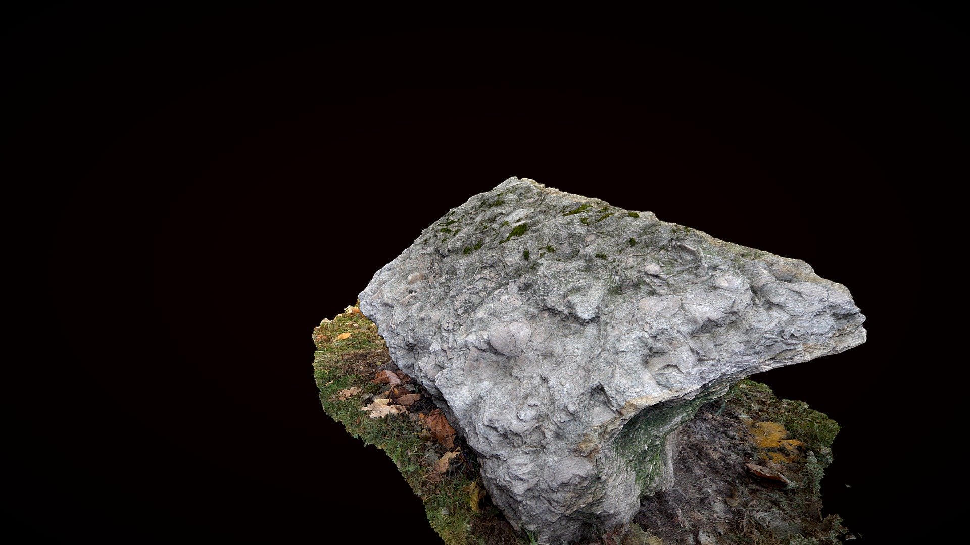 Boulders with Fossils at LMU department garden