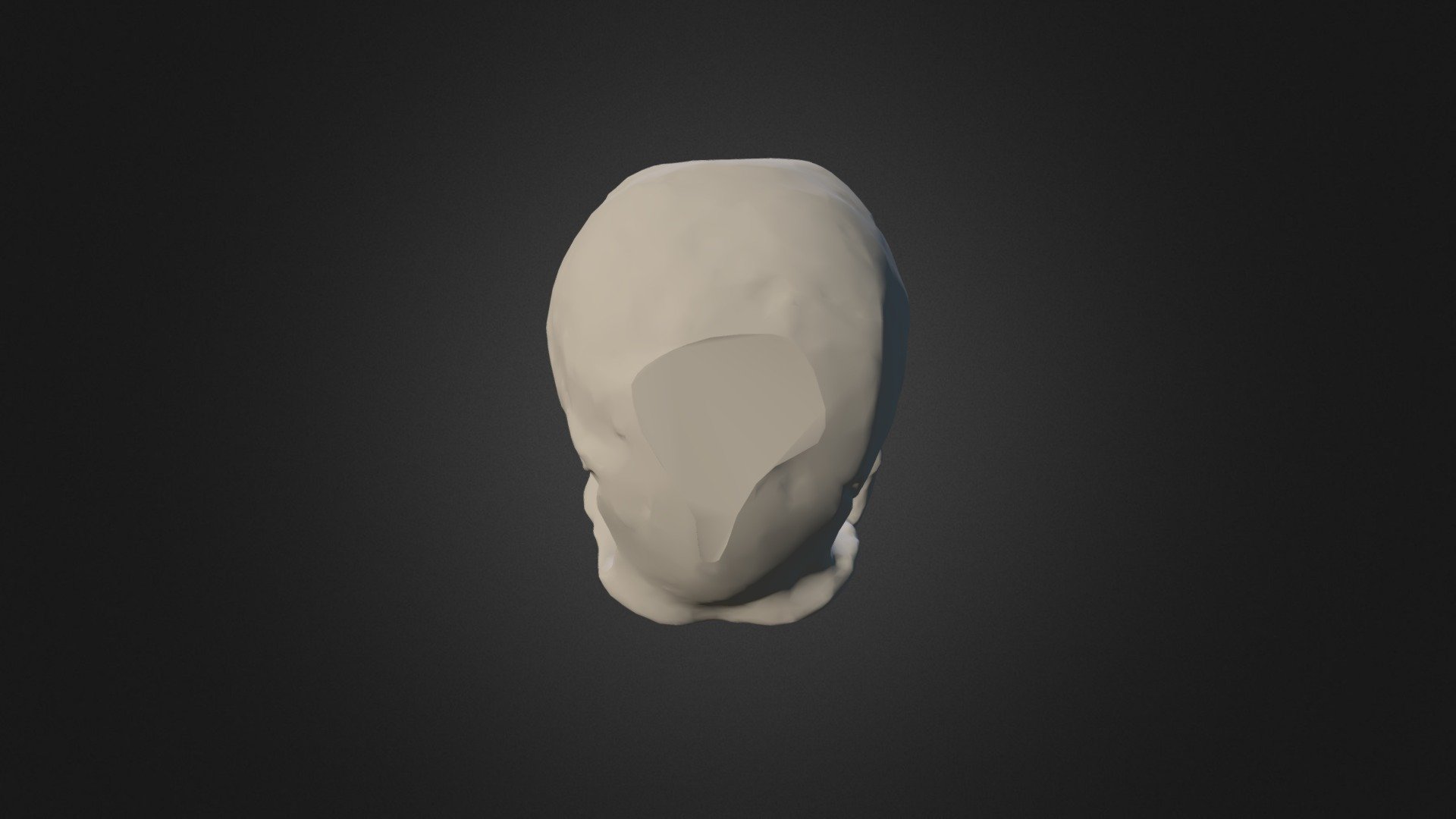 Homo erectus pekinensis