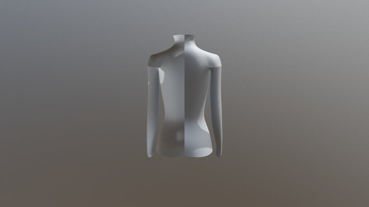 torso smooth 3D Model