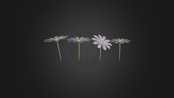Flowers  3D Model