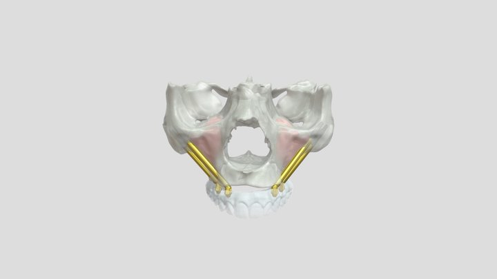 quad 3D Model