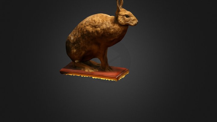 ニホンノウサギ 3D Model