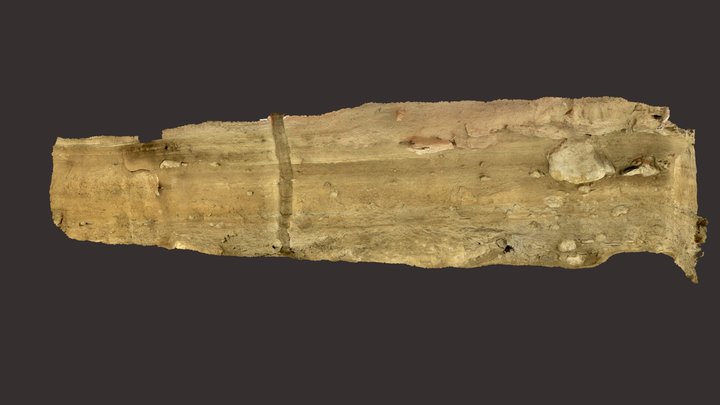 Bonfire Shelter (41VV218) Profile Section 2 3D Model