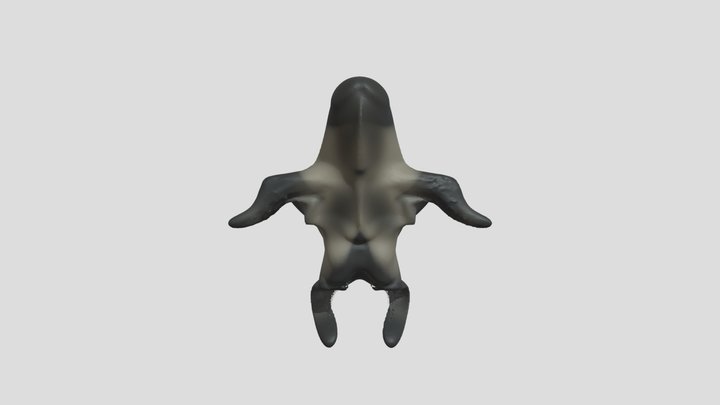 My model 3D Model