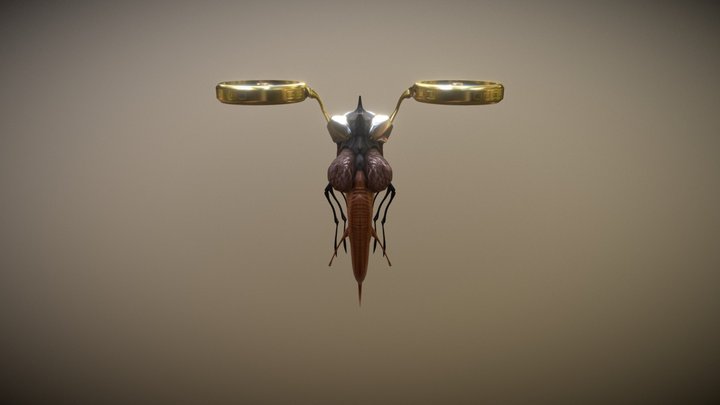 Insect 3D Model