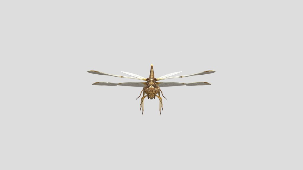 Emberwing Dragonfly