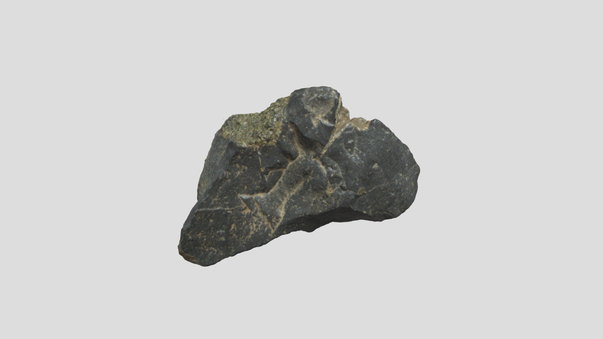 Samples 6 - 3D model by Natural History Collections University of ...