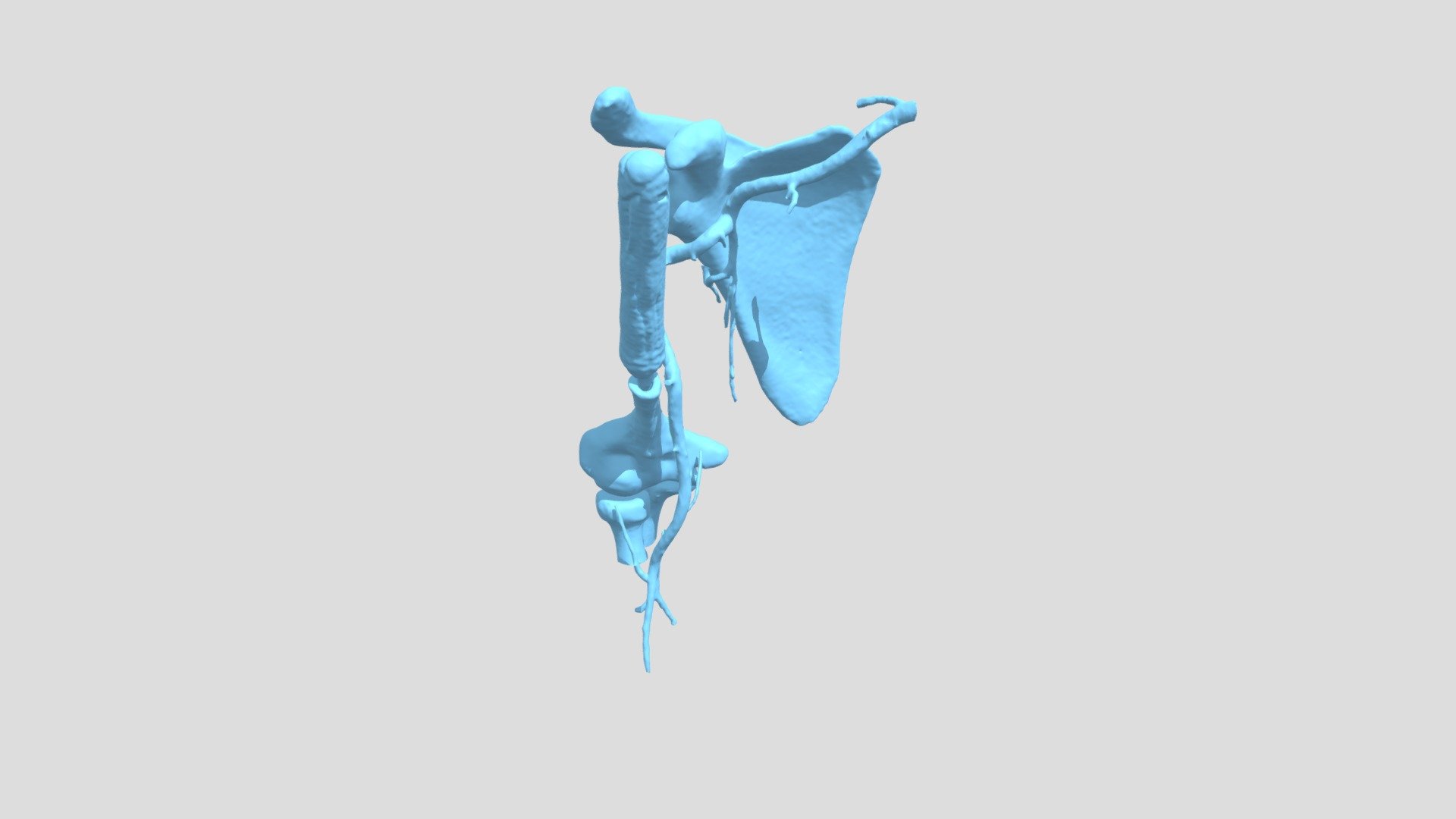 Arm01