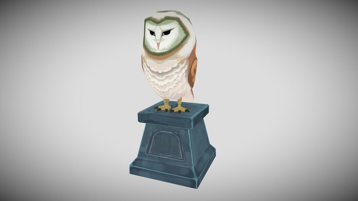 barn owl/tyto alba 3D Model