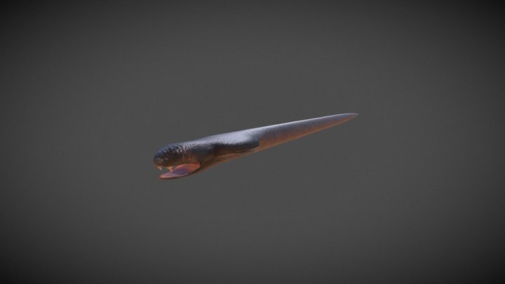 Snake 3D Model