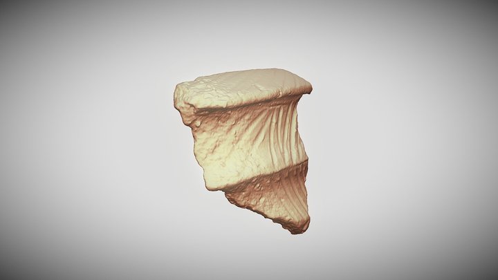 Neolithic pottery 3D Model