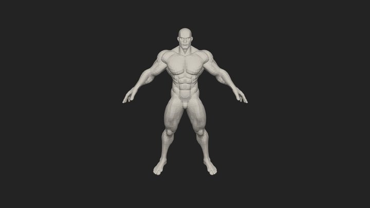 Muscular Stylized Male Basemeshes Rigged 3D Model