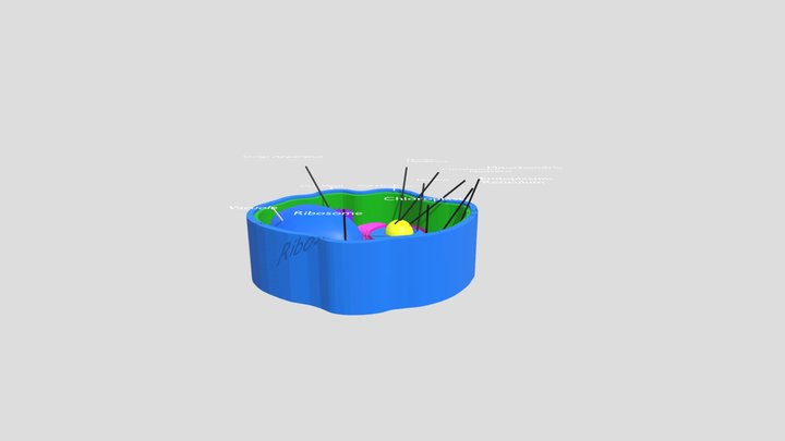 Plant Cell 2 3D Model