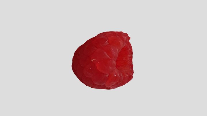 rasp 3D Model
