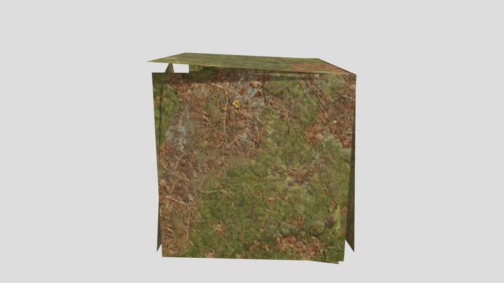 Modeltest 3D Model