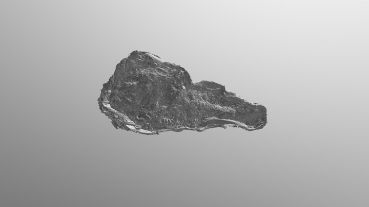 GFS skull jacket test (Eva scanner) 3D Model