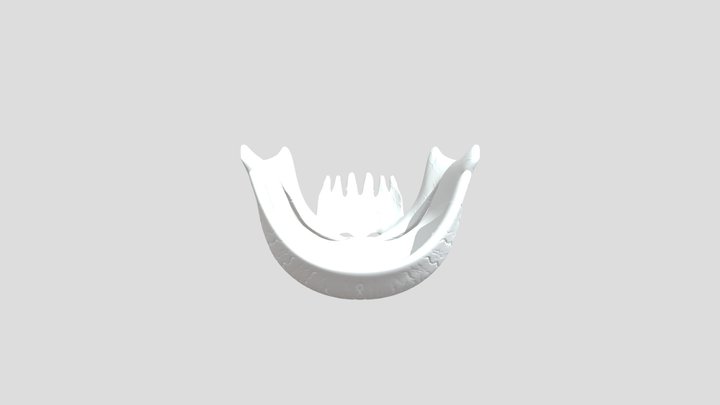 Skull 3D Model