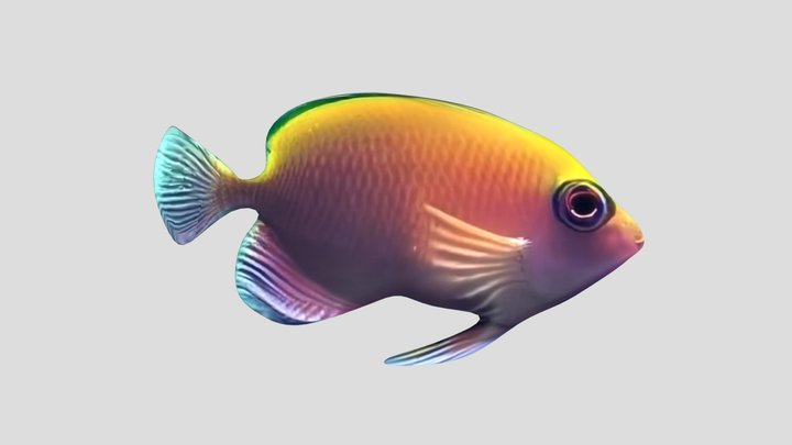 Sea Fish 3D Model