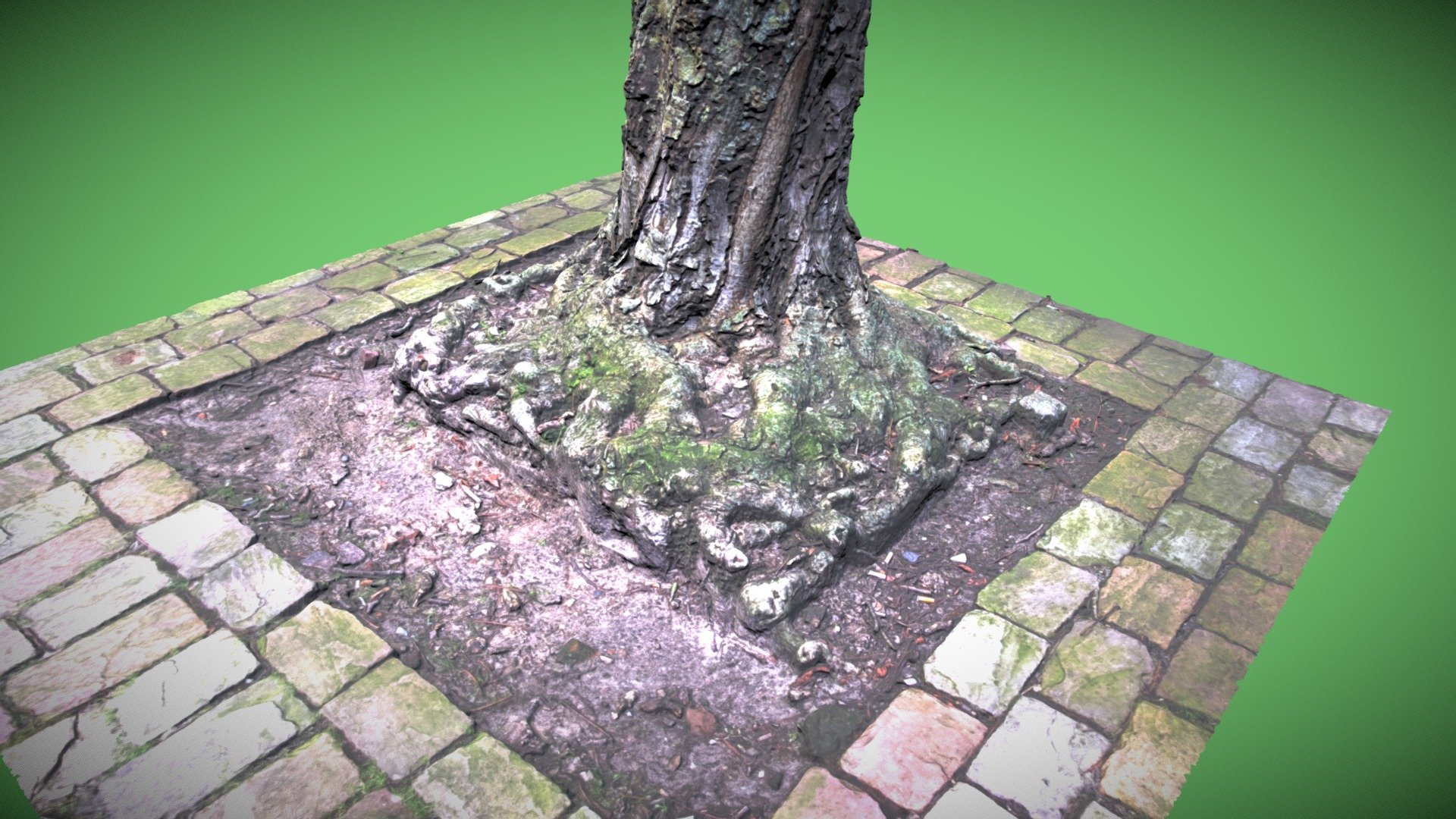 Wijnhaven Tree Root - 3D model by gspeed0689 [af53dd2] - Sketchfab