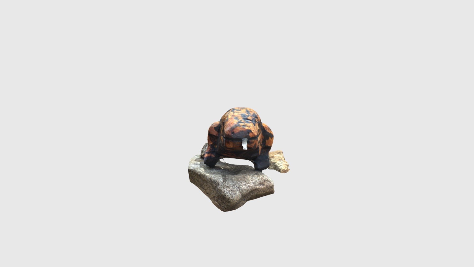 Lézard_1