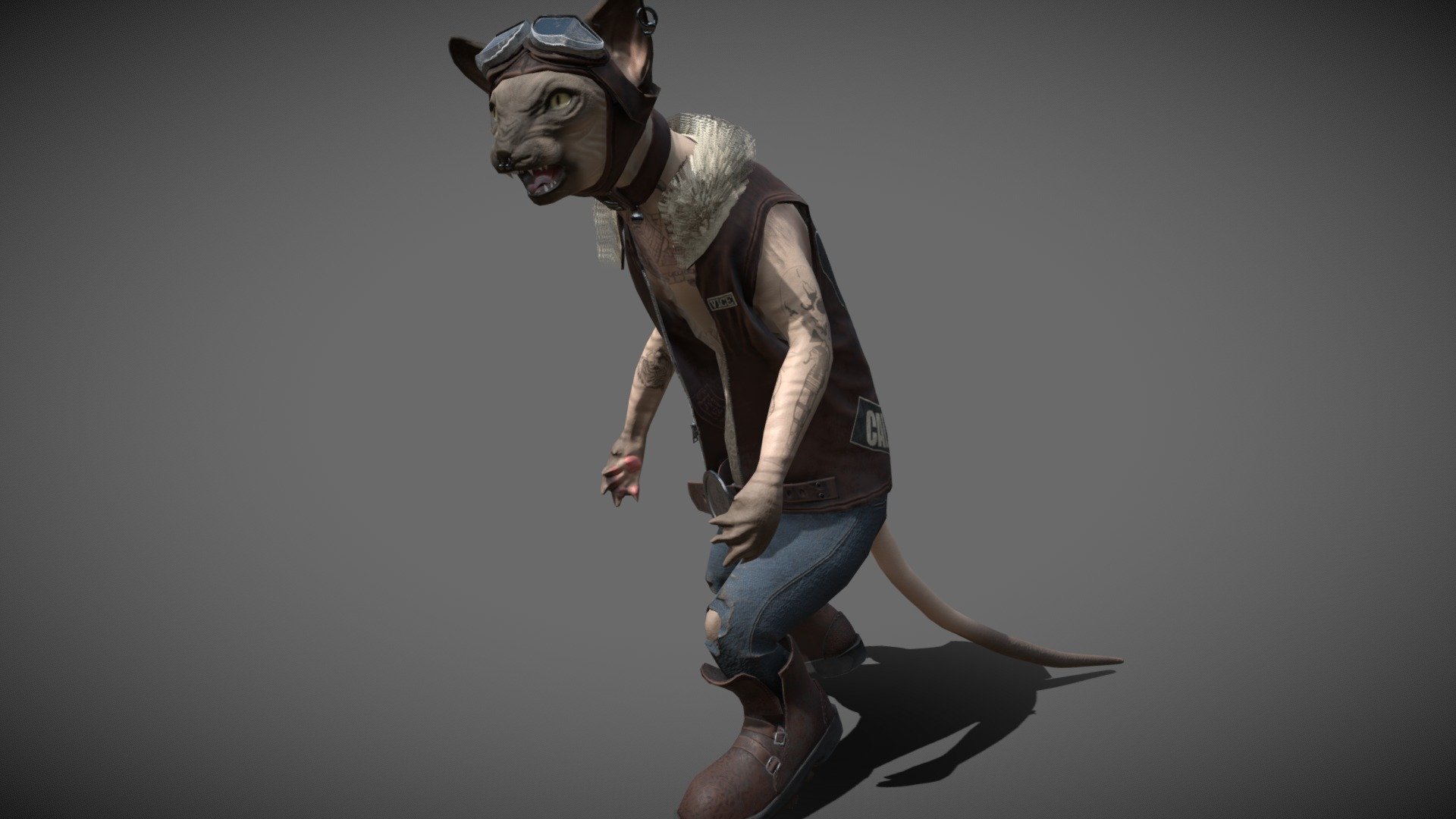 Biker Spynx Cat