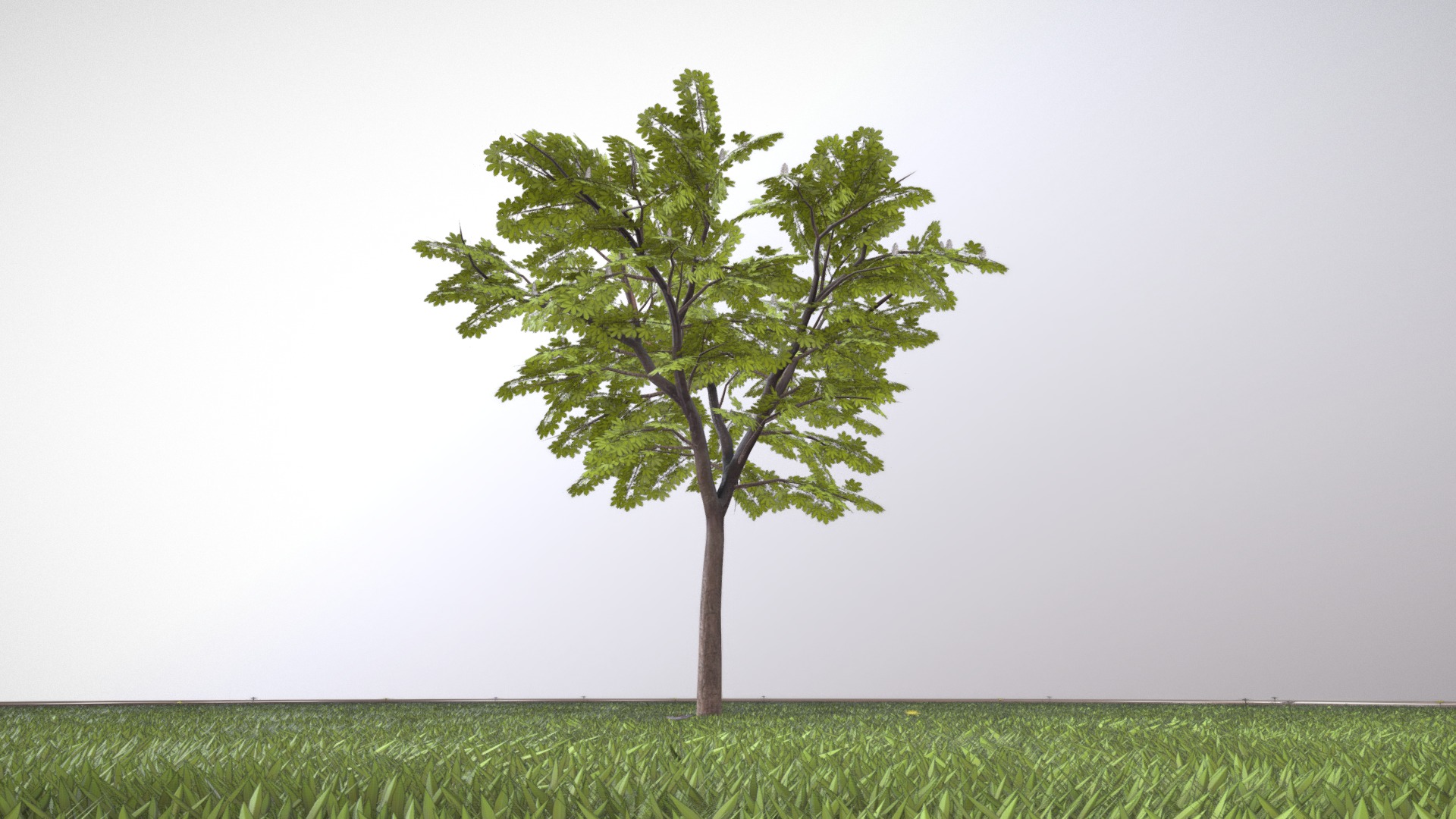 3D model Kastanie 8 Meter – Frühling - This is a 3D model of the Kastanie 8 Meter - Frühling. The 3D model is about a tree in a field.