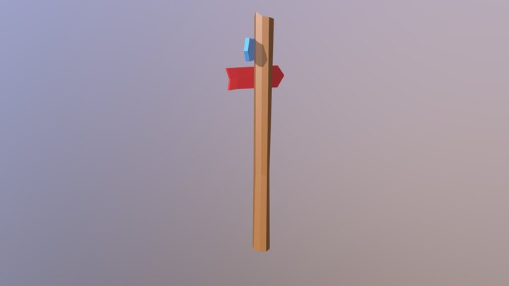 project 3D Model
