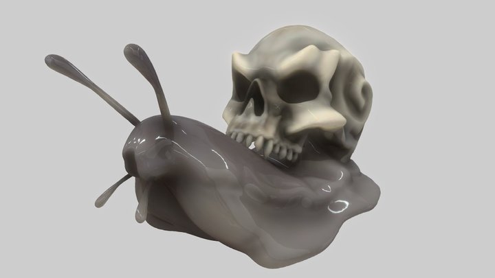 Collectible Skull #0003 The Snail Skull 3D Model