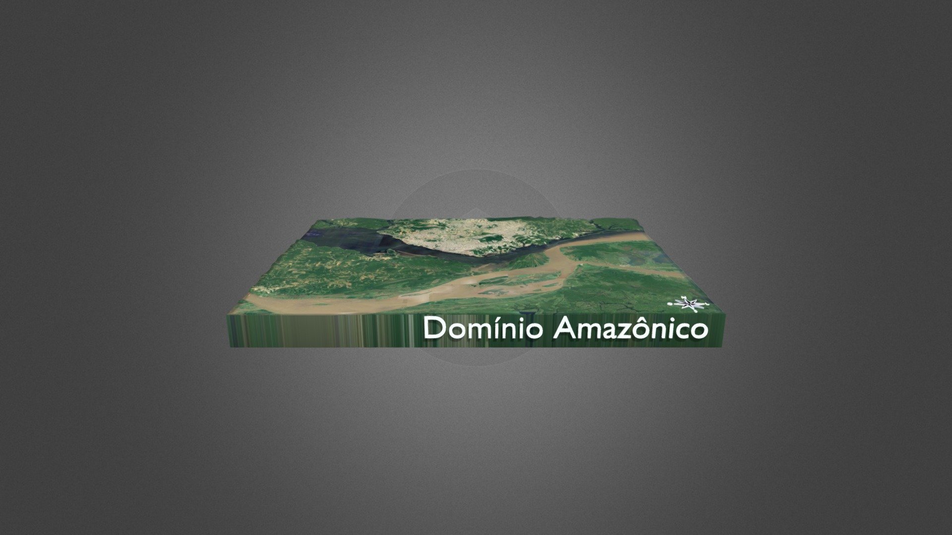 Domínio Amazônico